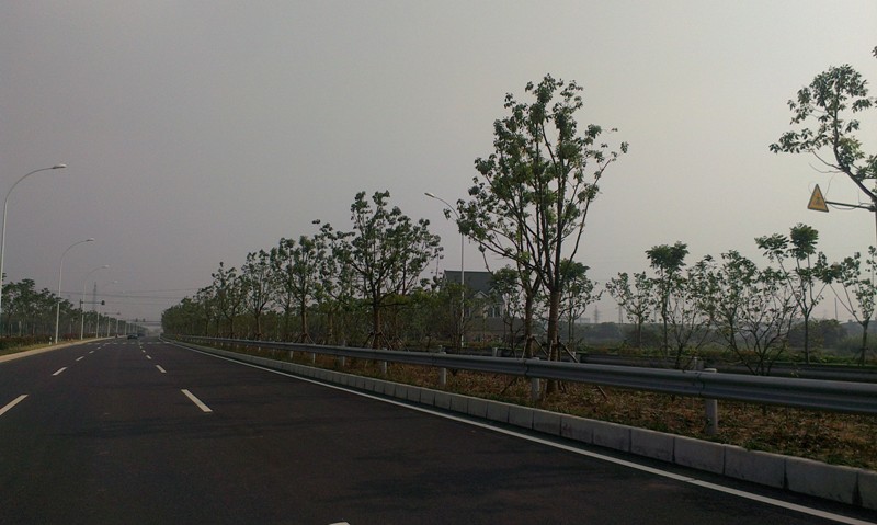 西环路道路配套绿化工程通过交工验收